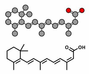 isotretinoina