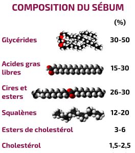 La composizione del sebo